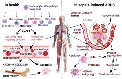 The role of G protein-coupled receptor in neutrophil dysfunction during sepsis-induced acute respiratory distress syndrome